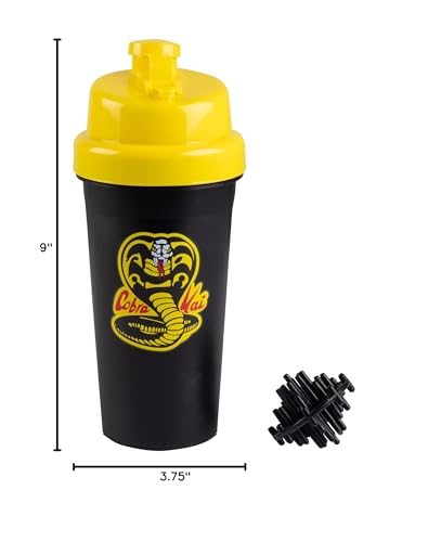 Season 6 gift idea for Cobra Kai and Karate Kid fans