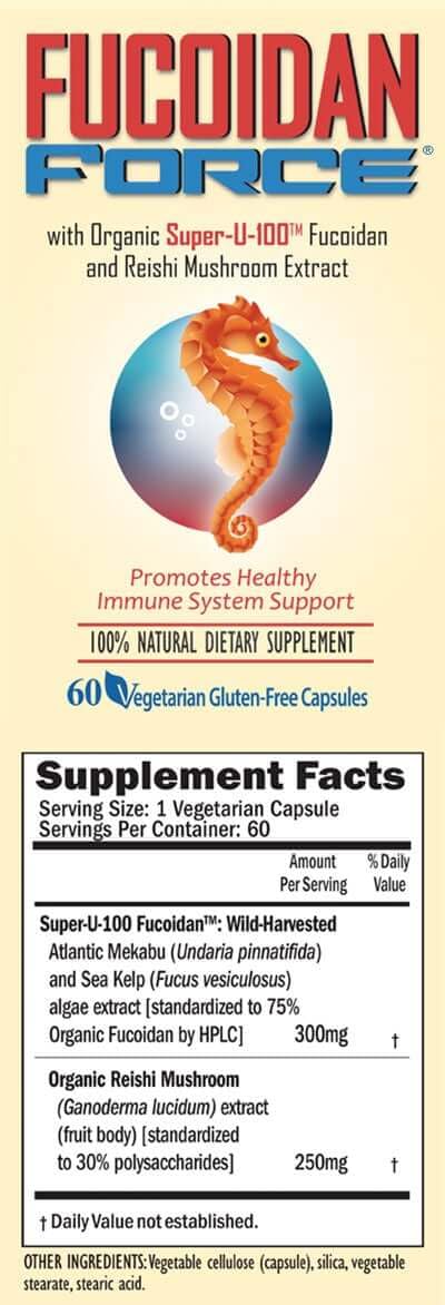 Sea kelp Fucus vesiculosus used for fucoidan energy
