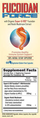 Sea kelp Fucus vesiculosus used for fucoidan energy