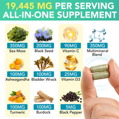 Close-up of sea moss and Ashwagandha ingredients in a capsule