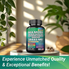 Natural ingredients: Sea Moss, Ashwagandha, Ginger, Apple Cider Vinegar