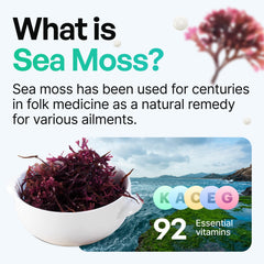 Sea moss capsules highlighting health benefits