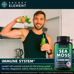 Sea Moss capsules featuring bladderwrack