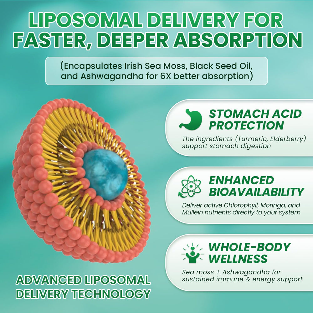 Benefits infographic for Sea Moss Drops: immune support, detox, thyroid health