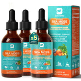 3Pack Sea Moss Drops bottle showing Irish sea moss chlorophyll liquid
