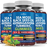 Bottle of Sea Moss Gummies 180 count vegan 10-in-1 supplement