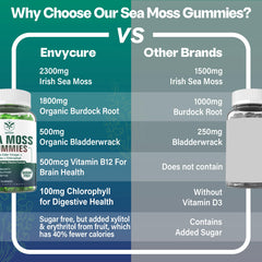 Front view of Sea Moss Gummies 2Pack packaging