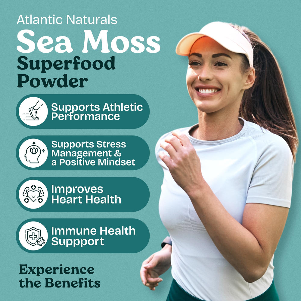 Close-up of Sea Moss Powder jar showing ingredients: ashwagandha, beet root, maca, vanilla