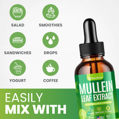 Sea moss, spirulina, and elderberry ingredients