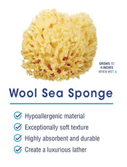Sea sponge demonstrating rich lather and absorbency