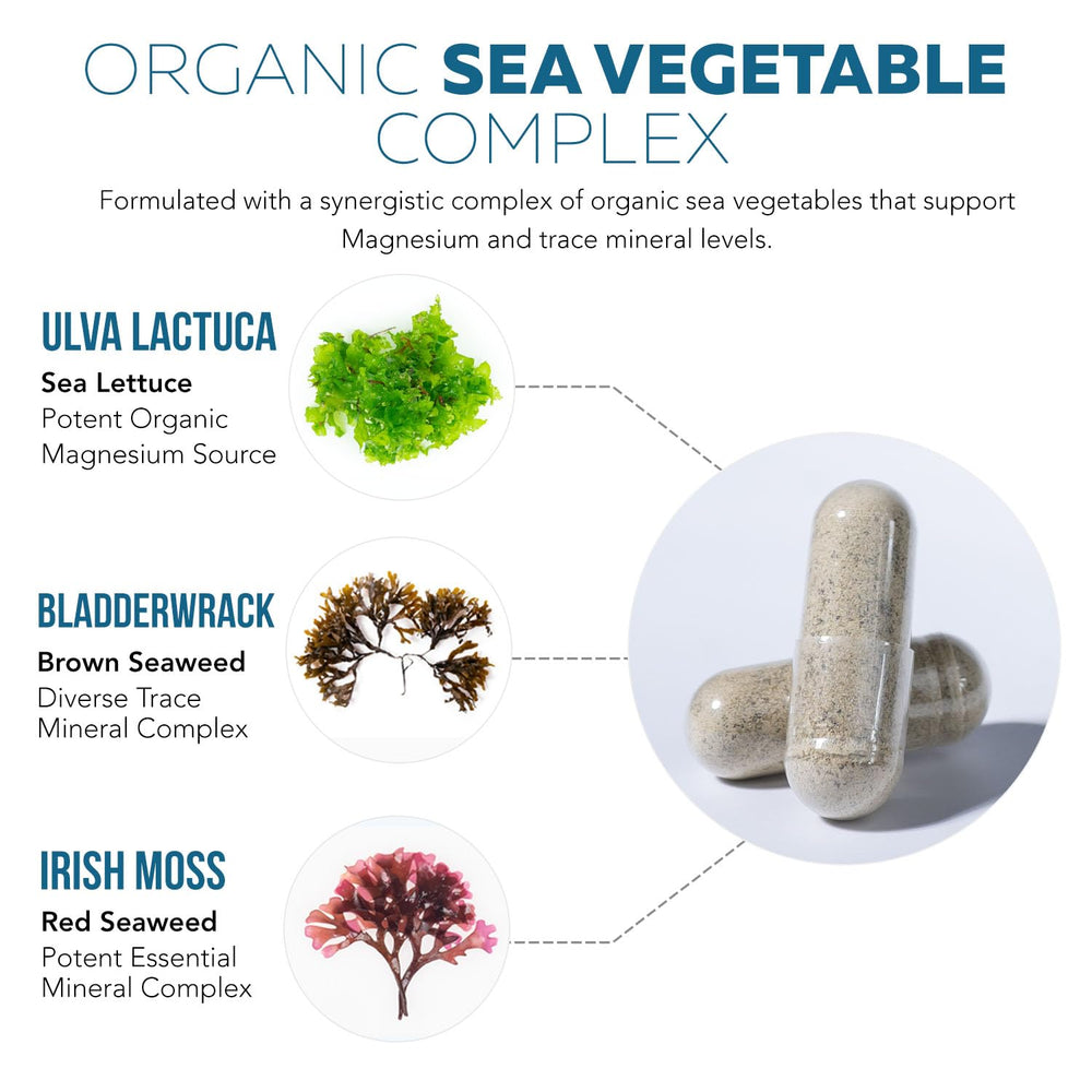 Illustration of sea vegetable sources for magnesium