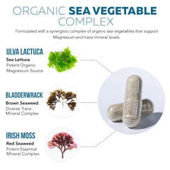 Illustration of sea vegetable sources for magnesium