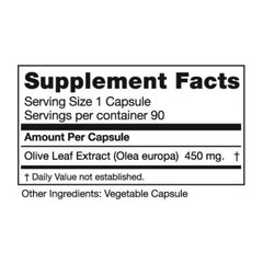 Olive leaves on Seagate farm and cold-press extraction equipment