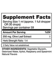 Close-up of dropper measuring 1 ml of olive leaf extract