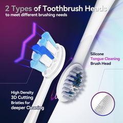 SEAGO 2752Blue five brushing modes