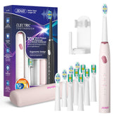 Front view of SEAGO SG-2316 pink electric toothbrush