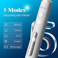 Soft brush heads for SEAGO SG-2603