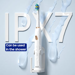 IPX7 waterproof Seago SG-2316 electric toothbrush