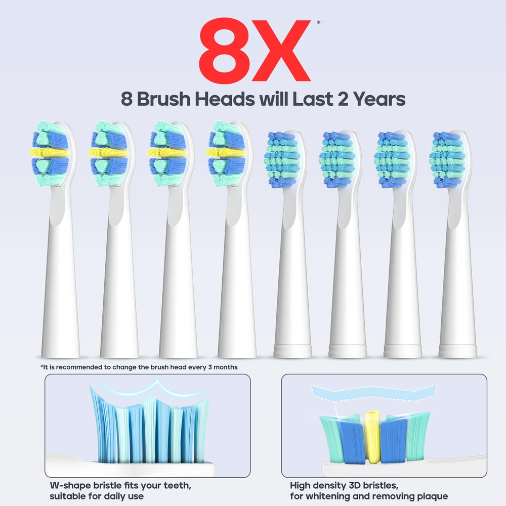 Eight replacement brush heads included