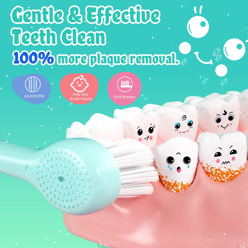 Two BPA-free ultra-soft bristles with tongue cleaner