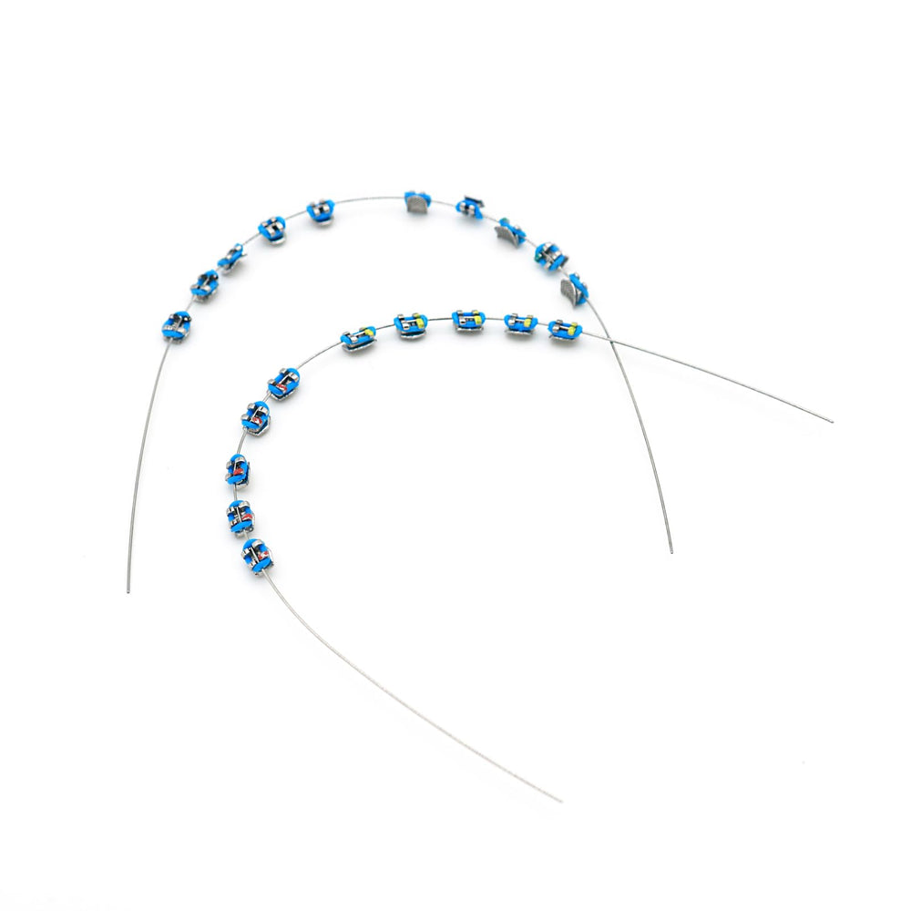 SEAVERRS 1 Pack blue dental decoration prop - orthodontic teaching aid mounted on a dental model (image 2)