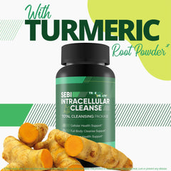 Liver and kidney support imagery representing detox benefits