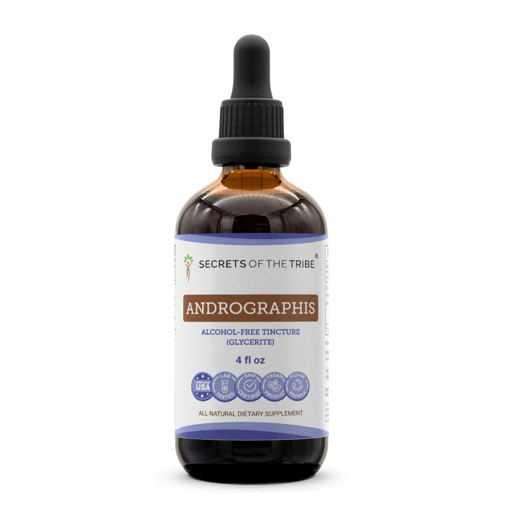 Front view of Secrets of the Tribe Andrographis Alcohol-Free Liquid Extract bottle, 4 oz