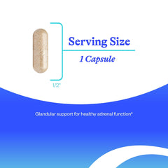 Grass-fed source illustration for adrenal cortex tissue