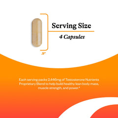 Seeking Health micronized DHEA capsules closeup showing key hormone-supporting ingredients
