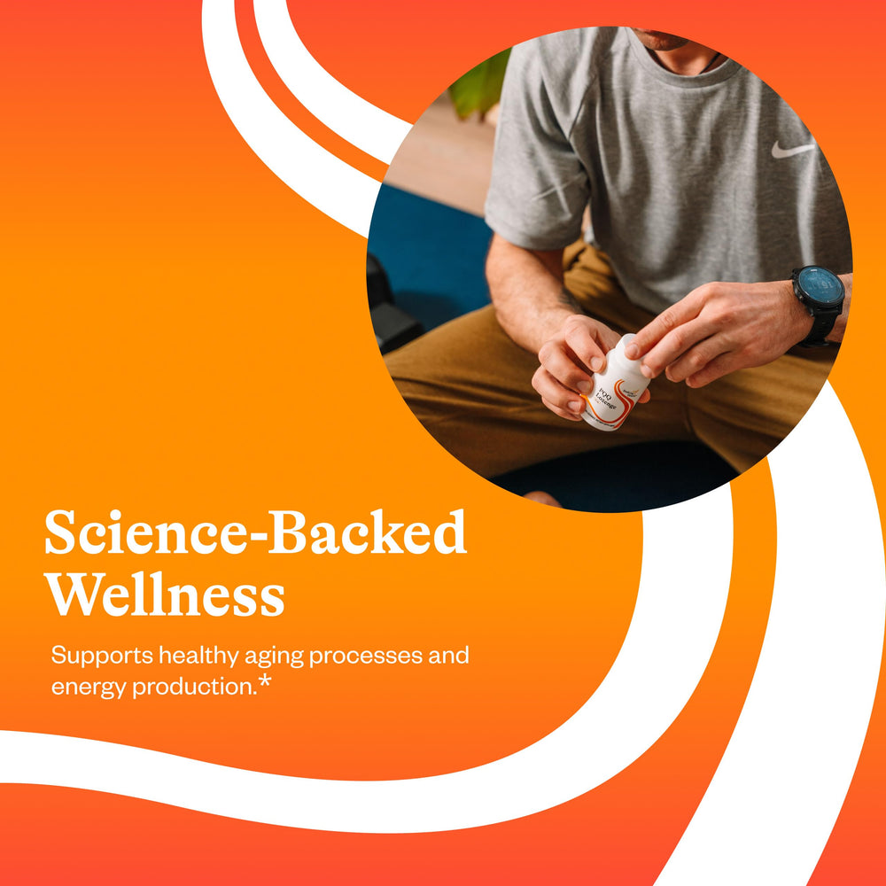 Seeking Health PQQ Lozenge lozenges close-up highlighting dissolving texture.