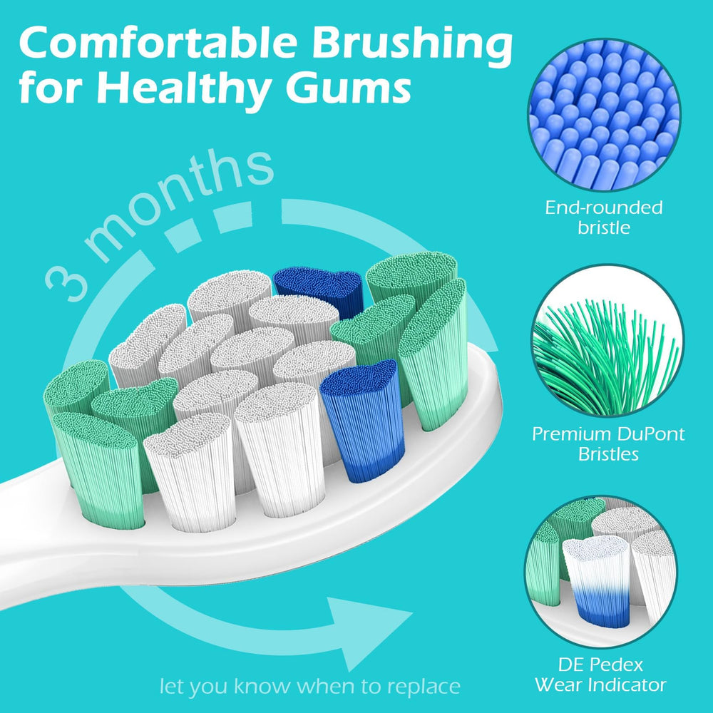 SEEREIN heads compatible with DiamondClean 4100/6100