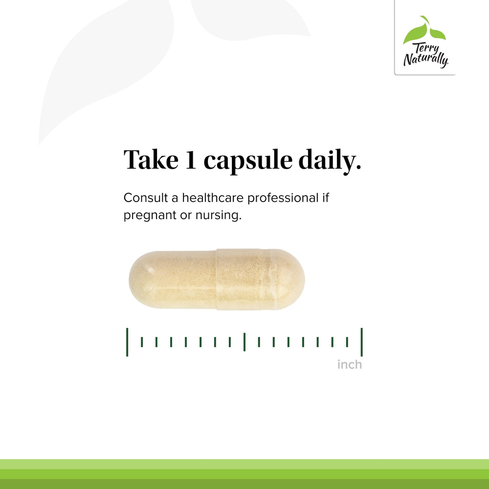 Graphic illustrating cellular health and selenium function