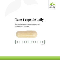 Graphic illustrating cellular health and selenium function