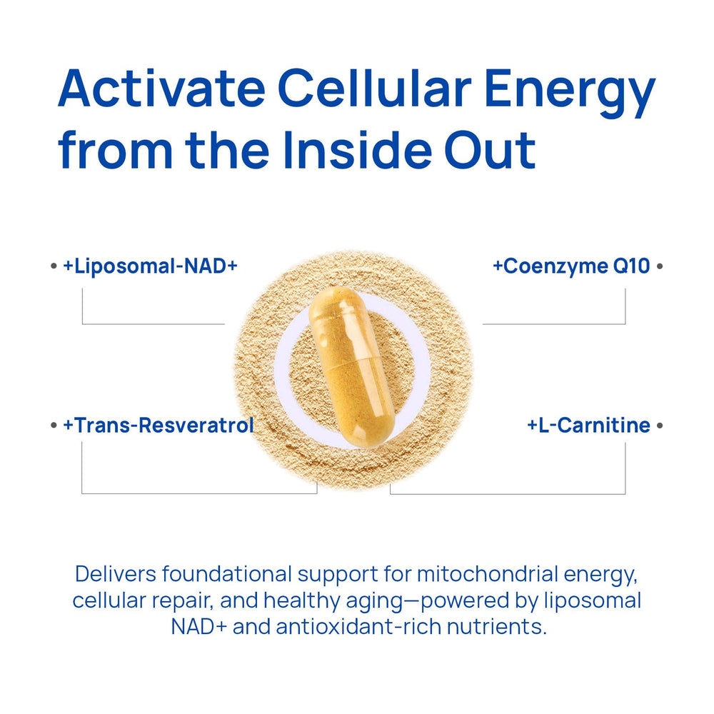 Trans-resveratrol antioxidant support accompanying NAD+