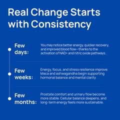 Saw Palmetto, Stinging Nettle, Beta-Sitosterol and Lycopene blend