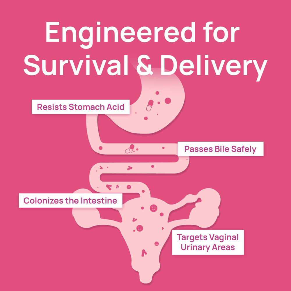 FOS prebiotics with probiotics for women's gut health