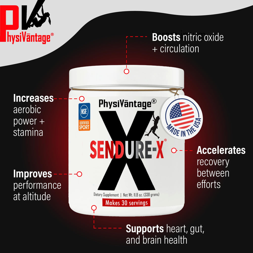 Sendure-X Beetroot + Citrulline Powder Wild Berry back label