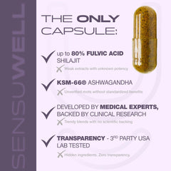 Ashwagandha and Rhodiola Rosea focus ingredients