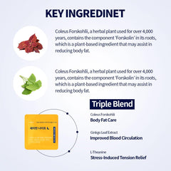 Seryburn Night branding and label