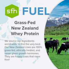 SFH Fuel natural protein powder close-up reveals creamy texture and color.