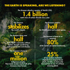 SHANTI BAR rainforest foundation collaboration image underscores social mission