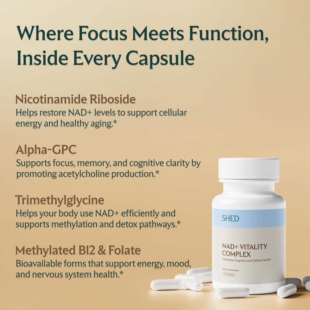 Alpha-GPC, TMG and methylated B vitamins ingredients