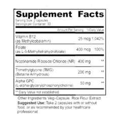 GMP-certified manufacturing facility