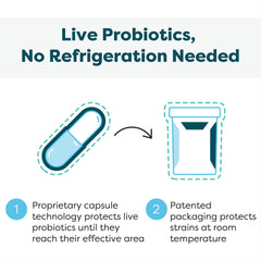 Shelf-stable synbiotic at room temperature for travel