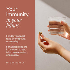 Graphic showing bioavailable AHCC potency