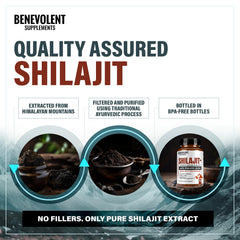 120 vegetarian capsules of Shilajit supplement