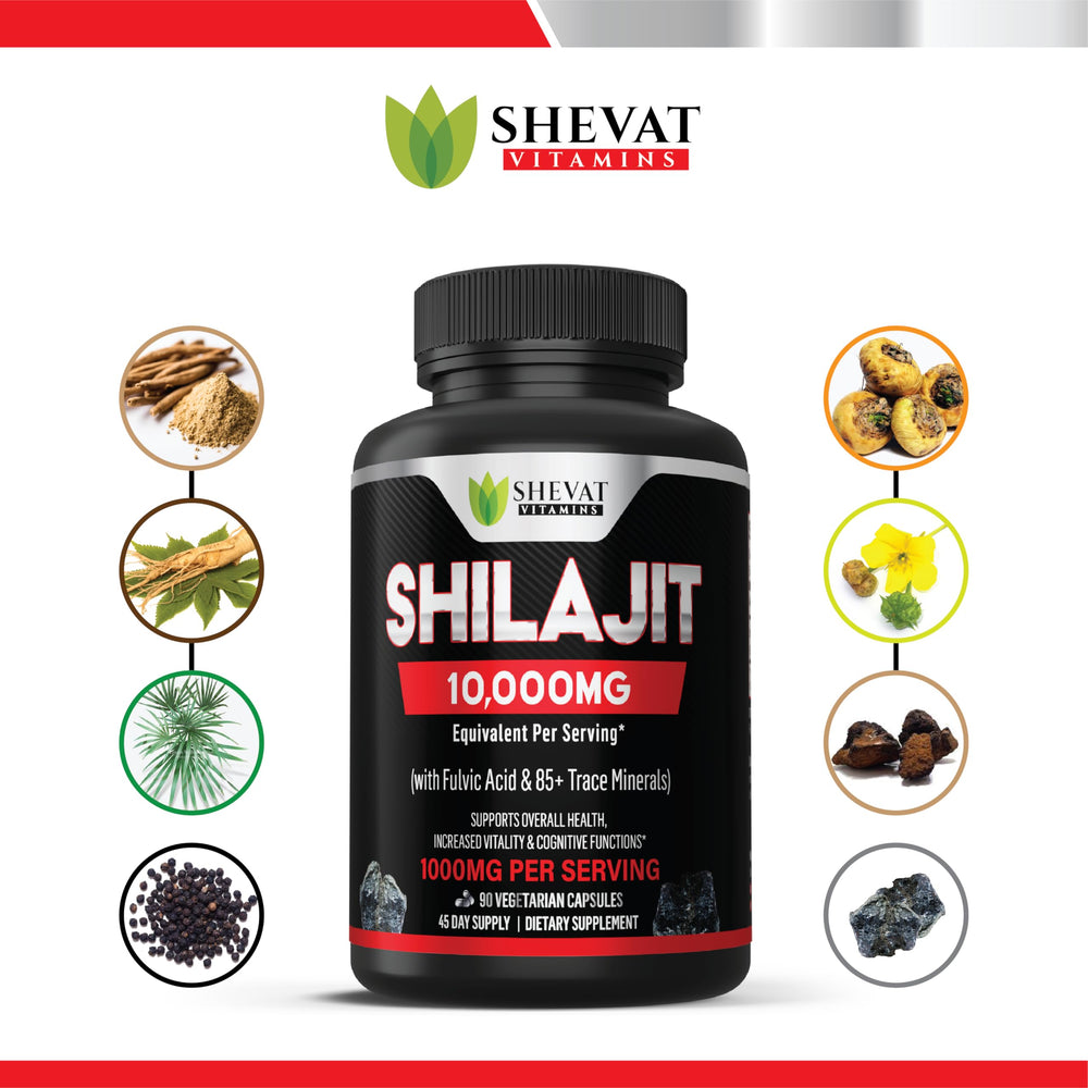 Graphic illustrating enhanced mineral absorption with Shilajit