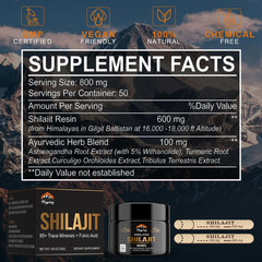 Energy, immune support and vitality benefits of Shilajit