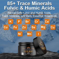Graphic showing fulvic acid and 85+ minerals in Shilajit