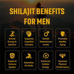 Fulvic acid and minerals illustration representing Shilajit ingredients